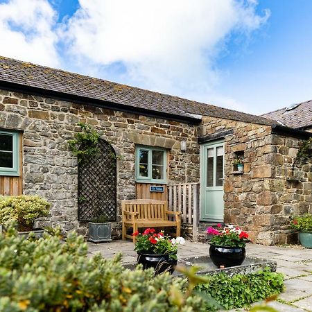 Cwm Connell Coastal Cottages Moylgrove Dış mekan fotoğraf